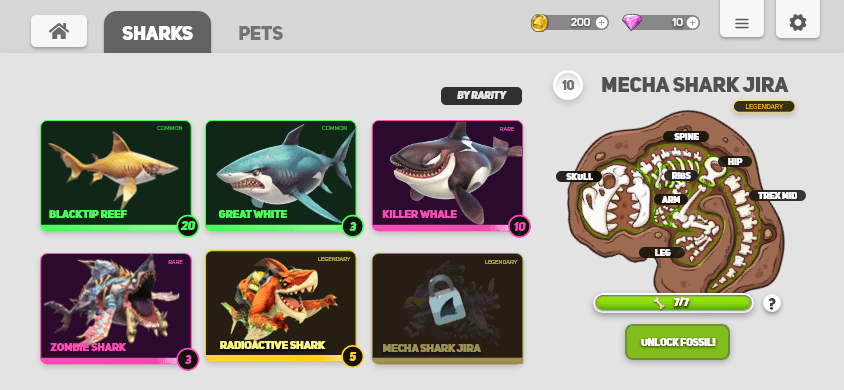 Anatomical Skeleton Reveal